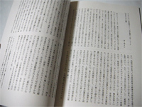 狼13号 - 中身